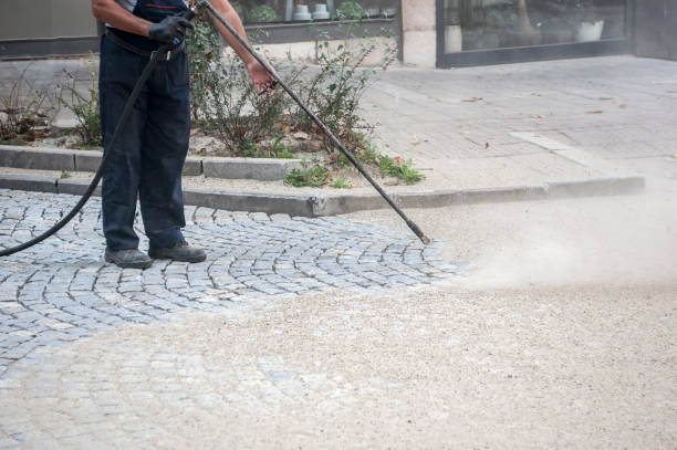 Best Driveway Pressure Washing  in Hoffman Estates, IL